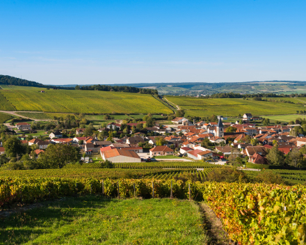 Motorrijden in de Champagne streek