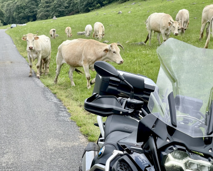 Motorreizen Spanje