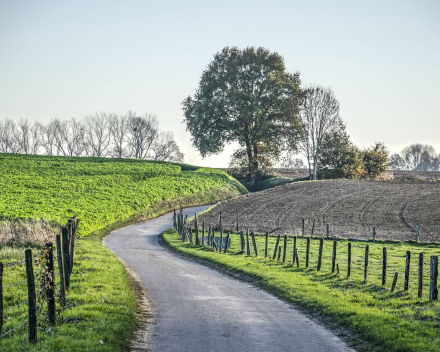 Nederlands Limburg pe rmotor 