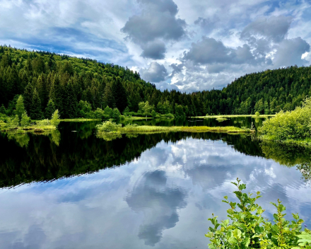 Elzas Vogezen Natuur