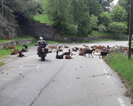 Oostenrijk Motorreizen