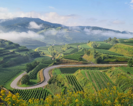 Motorvakantie Zwarte Woud Bad