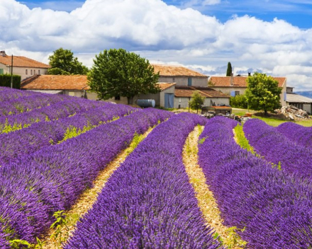 De Provence ontdekken op de motor