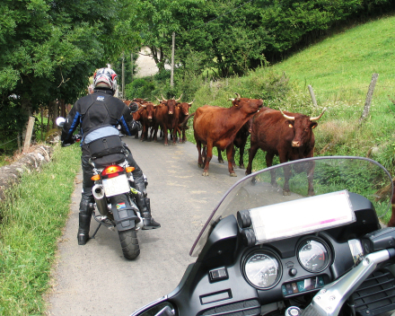 Motorvakantie Zwitserse Passen – Alpenbrevet | Motorreis Zwitserland