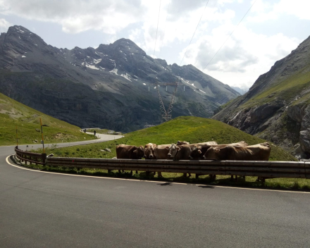 Motorvakantie Wellness in Tirol - Nauders | Motorreizen Oostenrijk