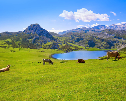 Picos de Europa Motorreizen