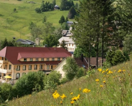 Vital Hotel Grüner Baum in Muggenbrunn