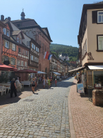 Bochtenparadijs Odenwald | Motorreizen Duitsland Bochtenparadijs Odenwald | Motorreizen Duitsland