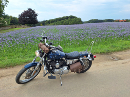 Mooie motorroutes in Duitsland