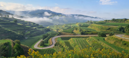 Motorreis Zwarte Woud in Duitsland