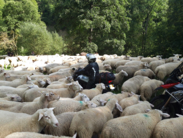 Motorreizen Garmisch Partenkirchen