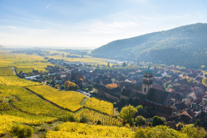 Motorreis Elzas Vogezen